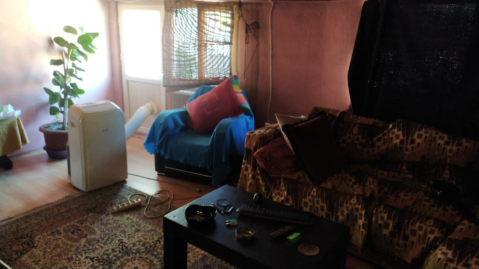 roommate for my terrace flat apartment
