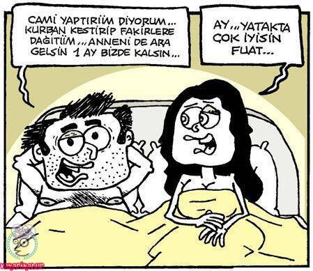 Ev arkadaşlığı karikatürü 4 — Admin